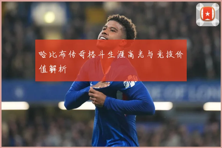 哈比布传奇格斗生涯高光与竞技价值解析