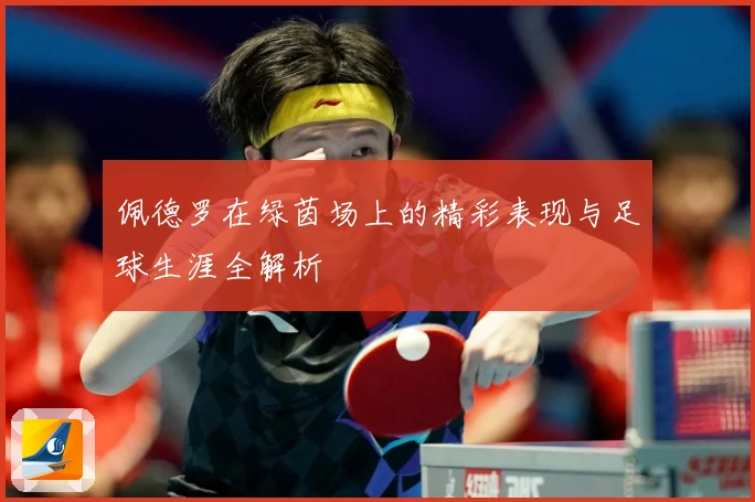 佩德罗在绿茵场上的精彩表现与足球生涯全解析