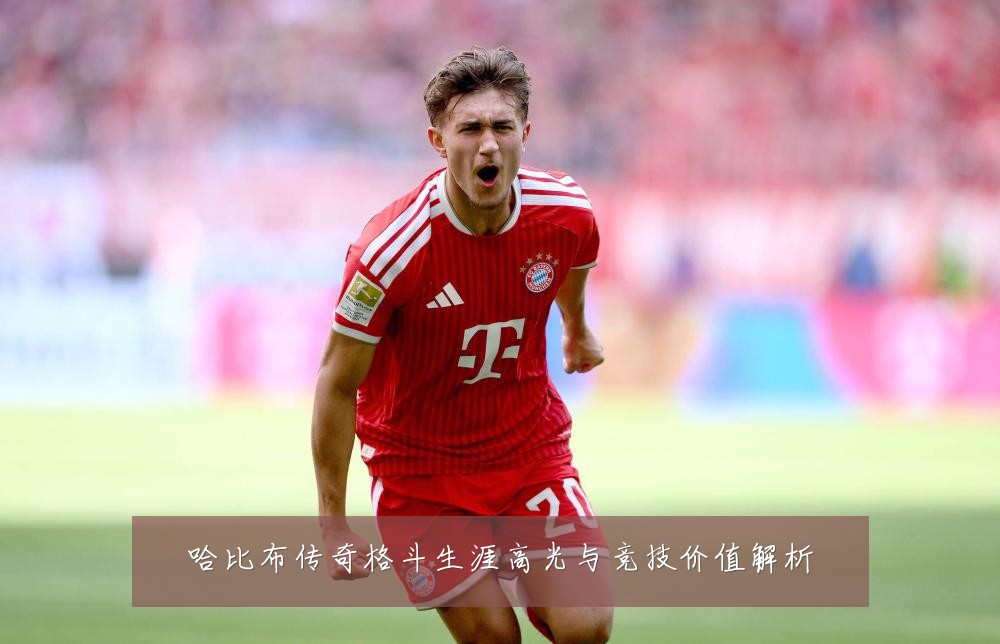哈比布传奇格斗生涯高光与竞技价值解析